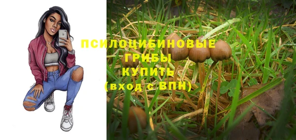 2c-b Навашино